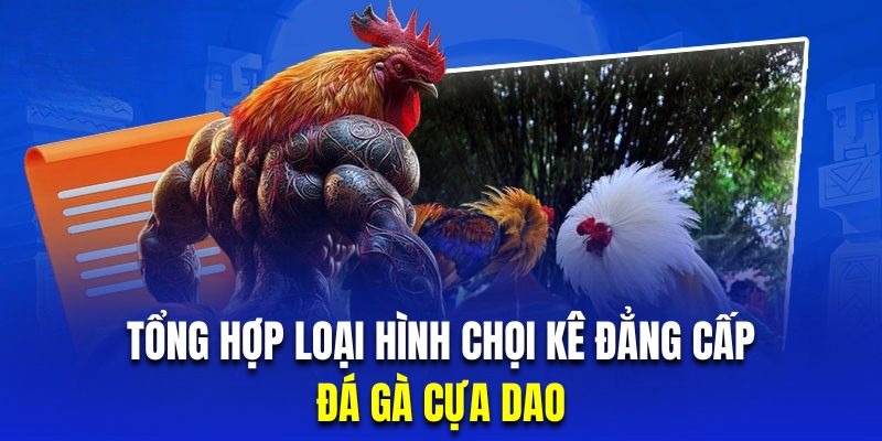 Đá gà KUWIN cựa dao được hàng triệu hội viên theo dõi trải nghiệm