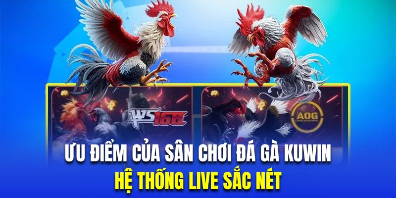 Sân chơi sở hữu chất lượng phát live trận đấu sắc nét